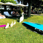 Photo n°1 de l'avis de Rüdiger.e fait le 05/06/2021 à 06:16 sur le  Hotel La Paul à Sirmione