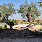 Photo n°8 de l'avis de Francesca.. fait le 21/08/2022 à 21:23 sur le  Poggio Del Sole Resort à Ragusa