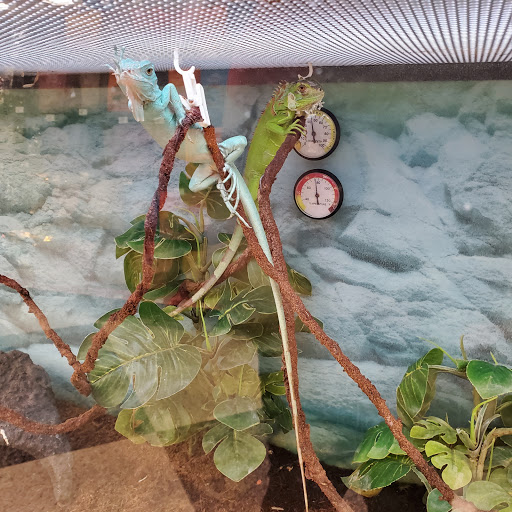 Pet Supply Store «Petco Animal Supplies», reviews and photos, 1815 Newport Blvd b, Costa Mesa, CA 92627, USA