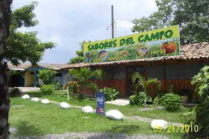 Sabores Del Campo image