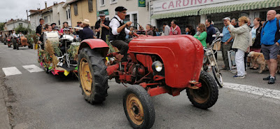 Cardina à Saint-Girons