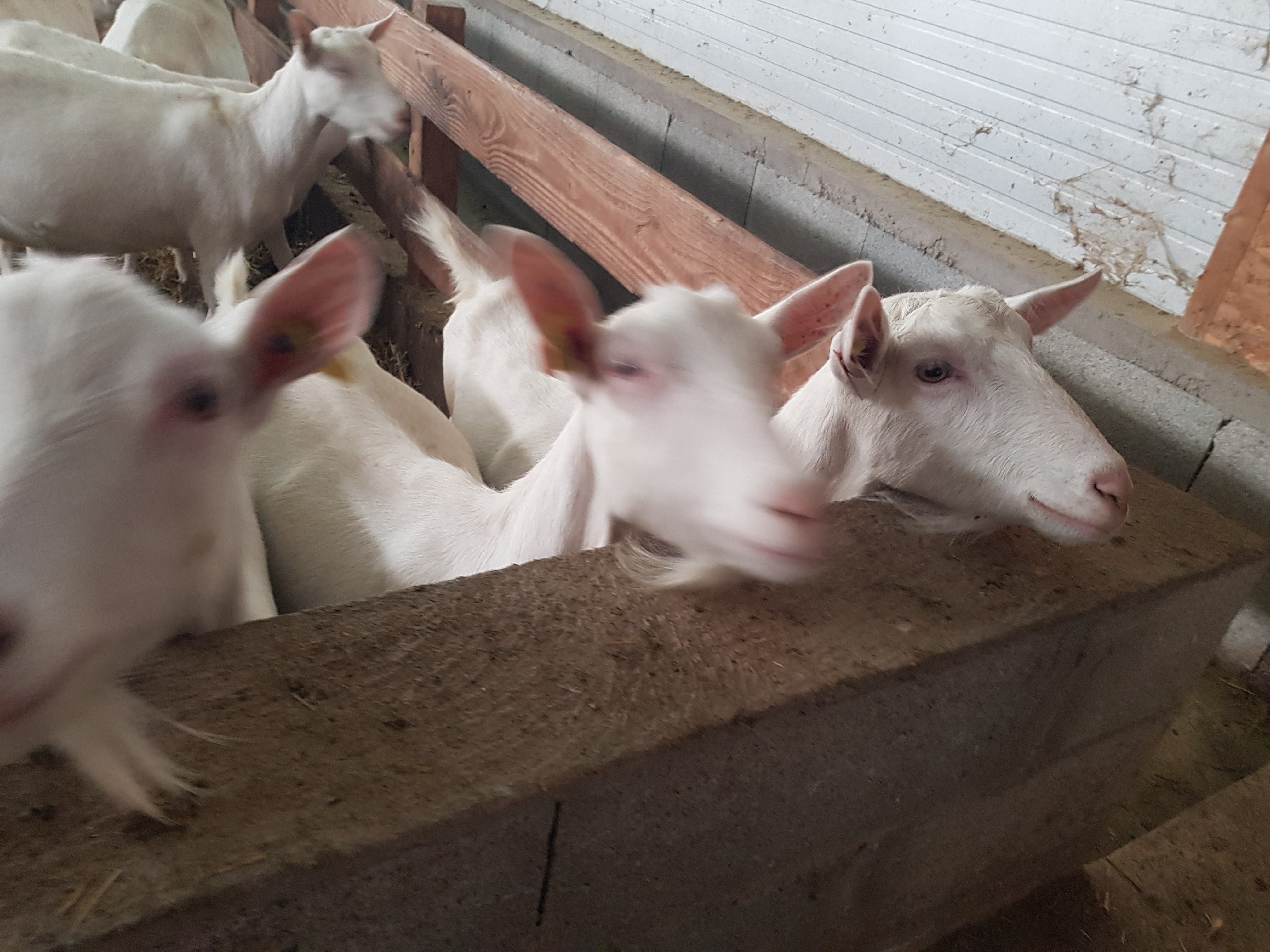 Photo n° 5 de l'avis de christophe.o fait le 26/02/2020 à 21:23