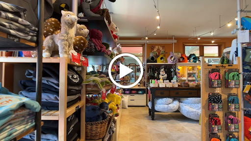 Pet Store «Four Paws on the Beach», reviews and photos, 144 Laneda Ave, Manzanita, OR 97130, USA