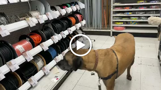 Hardware Store «Pittsburg Ace Hardware», reviews and photos, 125 E Leland Rd, Pittsburg, CA 94565, USA