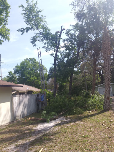 Hardware Store «Vision Ace Hardware», reviews and photos, 8538 Gunn Hwy #10, Odessa, FL 33556, USA