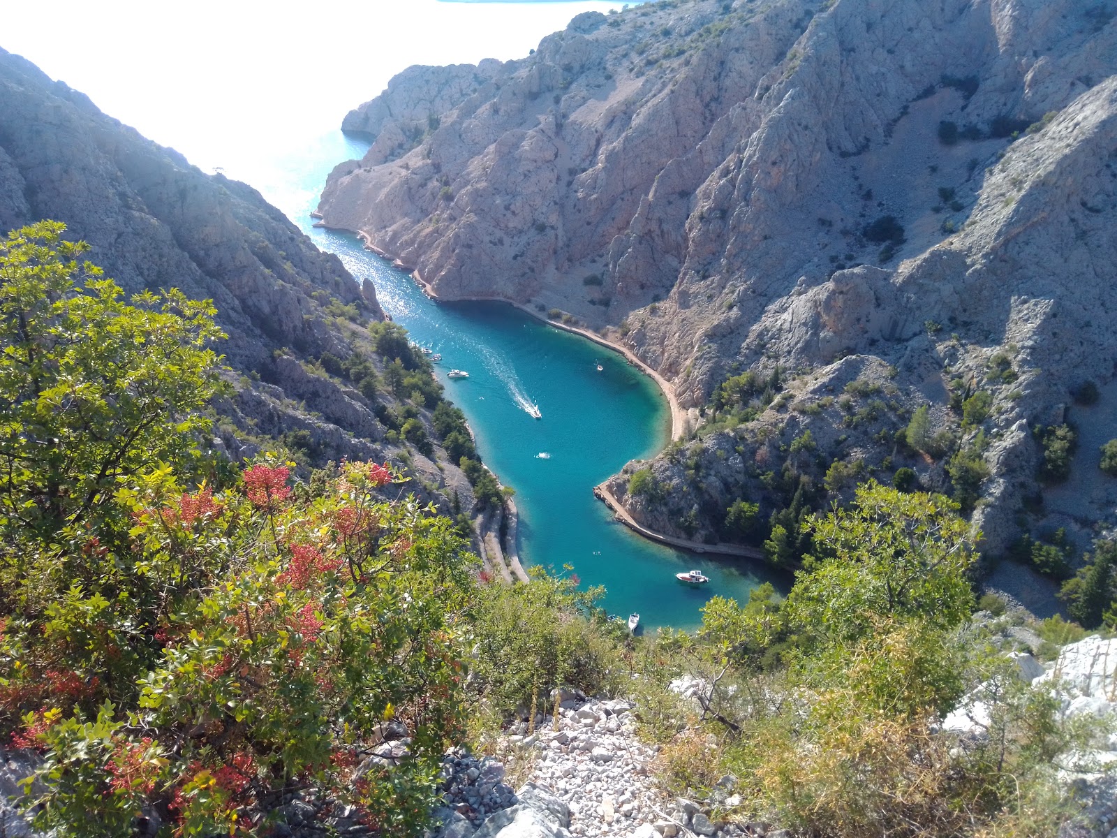 Foto av Uvala Zavratnica och dess vackra landskap