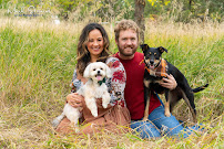 Mark Stevens Photography - Photo 2 - Car repair in Denver, CO, Centennial