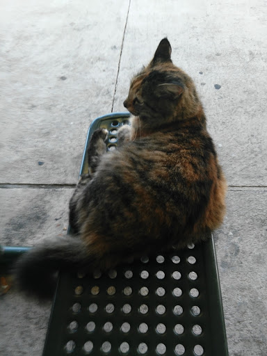 Casino «Delta Downs Racetrack Casino Hotel», reviews and photos, 2717 Delta Downs Dr, Vinton, LA 70668, USA