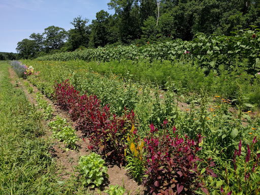 Farm «Green Meadows Farm», reviews and photos, 656 Asbury St, South Hamilton, MA 01982, USA