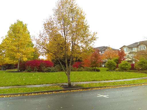 Park «Magnolia Park», reviews and photos, 1810 NW 192nd Ave, Hillsboro, OR 97124, USA