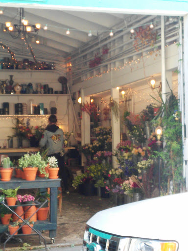 Florist «Ampersand», reviews and photos, 80 Albion St, San Francisco, CA 94103, USA
