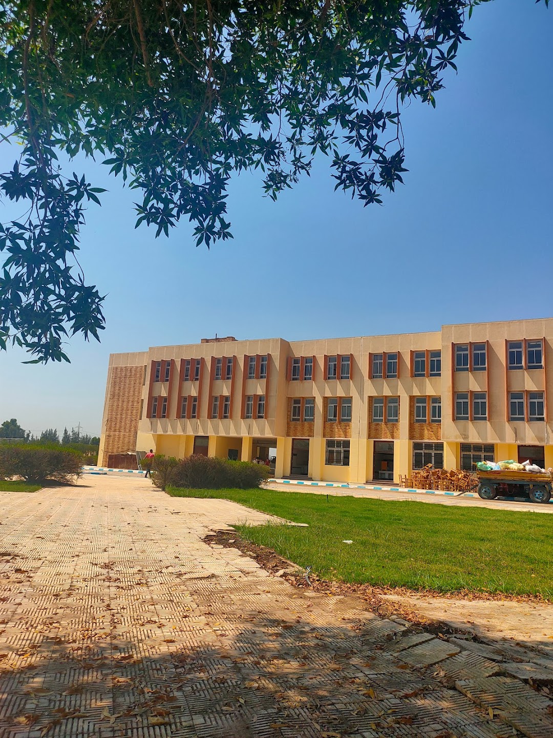 مزرعة كلية الزراعة جامعة دمنهور بالبستان