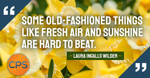 Computer Consultant «Computers Plus Services», reviews and photos, 5865 Whitmore Lake Rd b, Brighton, MI 48116, USA