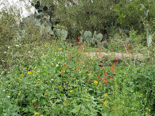 Nature Preserve «McAllen Nature Center», reviews and photos, 4101 U.S. 83 Business, McAllen, TX 78501, USA