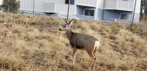 Land Rover Dealer «Land Rover Colorado Springs», reviews and photos, 565 Automotive Dr, Colorado Springs, CO 80905, USA