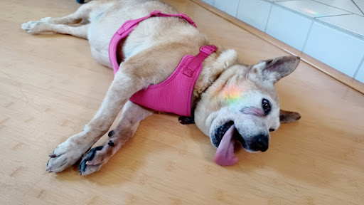 Museum «The Rock and Roll Hall of Fame and Museum», reviews and photos, 1100 E 9th St, Cleveland, OH 44114, USA