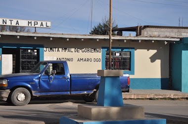 Junta Municipal De Gobierno