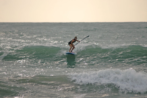 Surf Shop «Epic Boardsports LLC», reviews and photos, 350 N Atlantic Ave, Cocoa Beach, FL 32931, USA