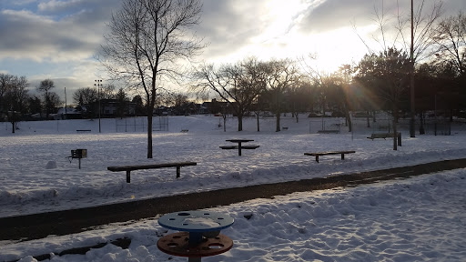 Park «Phelps Field Park», reviews and photos, 701 E 39th St, Minneapolis, MN 55407, USA