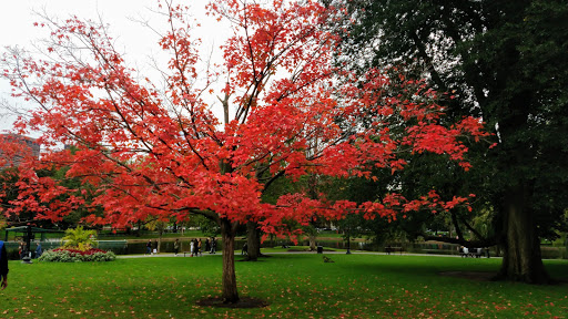 Park «East Boston Memorial Park», reviews and photos, 143 Porter St, Boston, MA 02128, USA