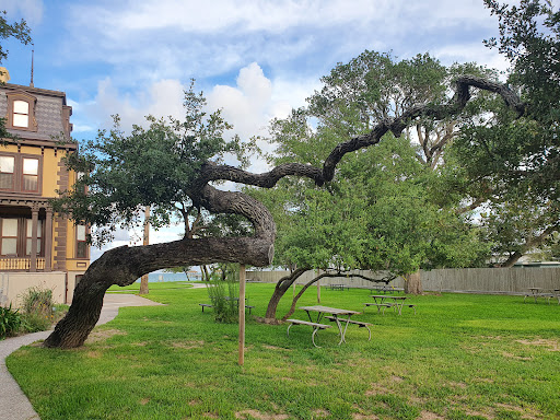 History Museum «Fulton Mansion State Historic Site», reviews and photos, 317 Fulton Beach Rd, Rockport, TX 78382, USA