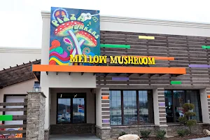 Mellow Mushroom Johnson City image