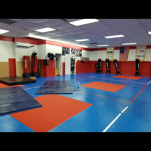 Aikido club Arlington