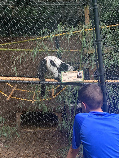 Zoo «North Georgia Zoo & Farm», reviews and photos, 2912 Paradise Valley Rd, Cleveland, GA 30528, USA