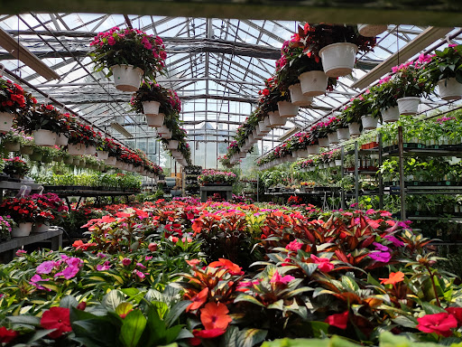 Garden Center «Westminster Nursery & Florist», reviews and photos, 30 Westminster Rd, West Hempstead, NY 11552, USA