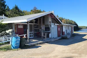 Hermit Island Campground image