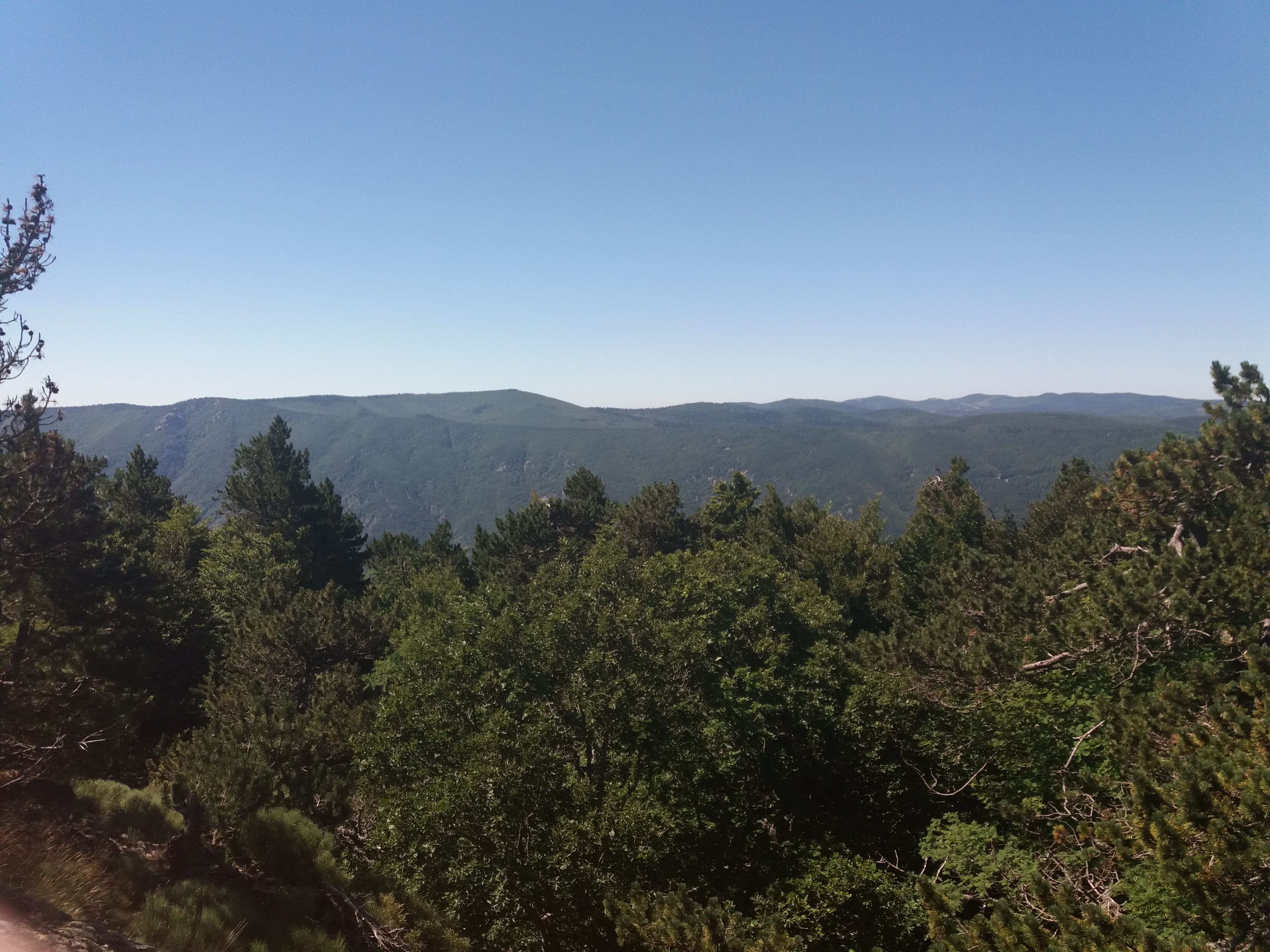 Photo n° 13 de l'avis de julle.v fait le 19/09/2018 à 10:53