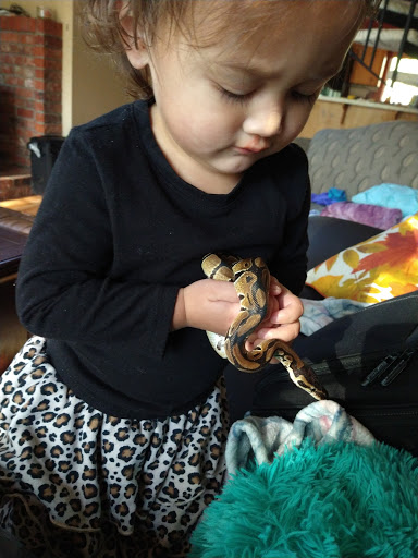 Pet Supply Store «Petco Animal Supplies», reviews and photos, 1201 E Washington Ave, Union Gap, WA 98903, USA