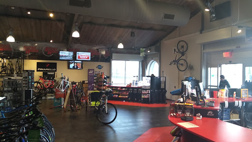 Bicycle Store «Bicycle World», reviews and photos, 32623 Fm 2978 Rd, Magnolia, TX 77354, USA