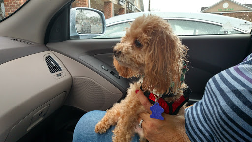 Pet Supply Store «Dog Krazy, Inc.», reviews and photos, 10681 Spotsylvania Ave, Fredericksburg, VA 22408, USA