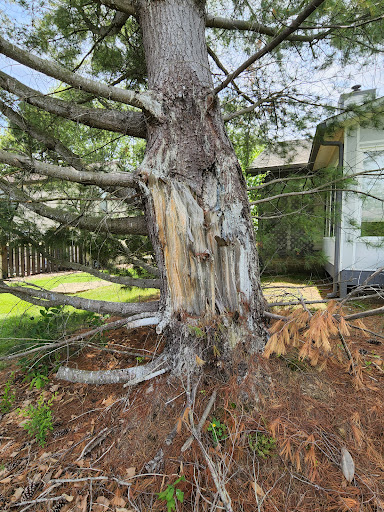 1535 Maple Ave, Zanesville, OH 43701, USA