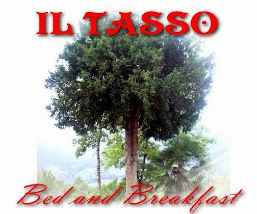 Photos du propriétaire Bed & Breakfast Bed and Breakfast IL TASSO 10080 Traversella
