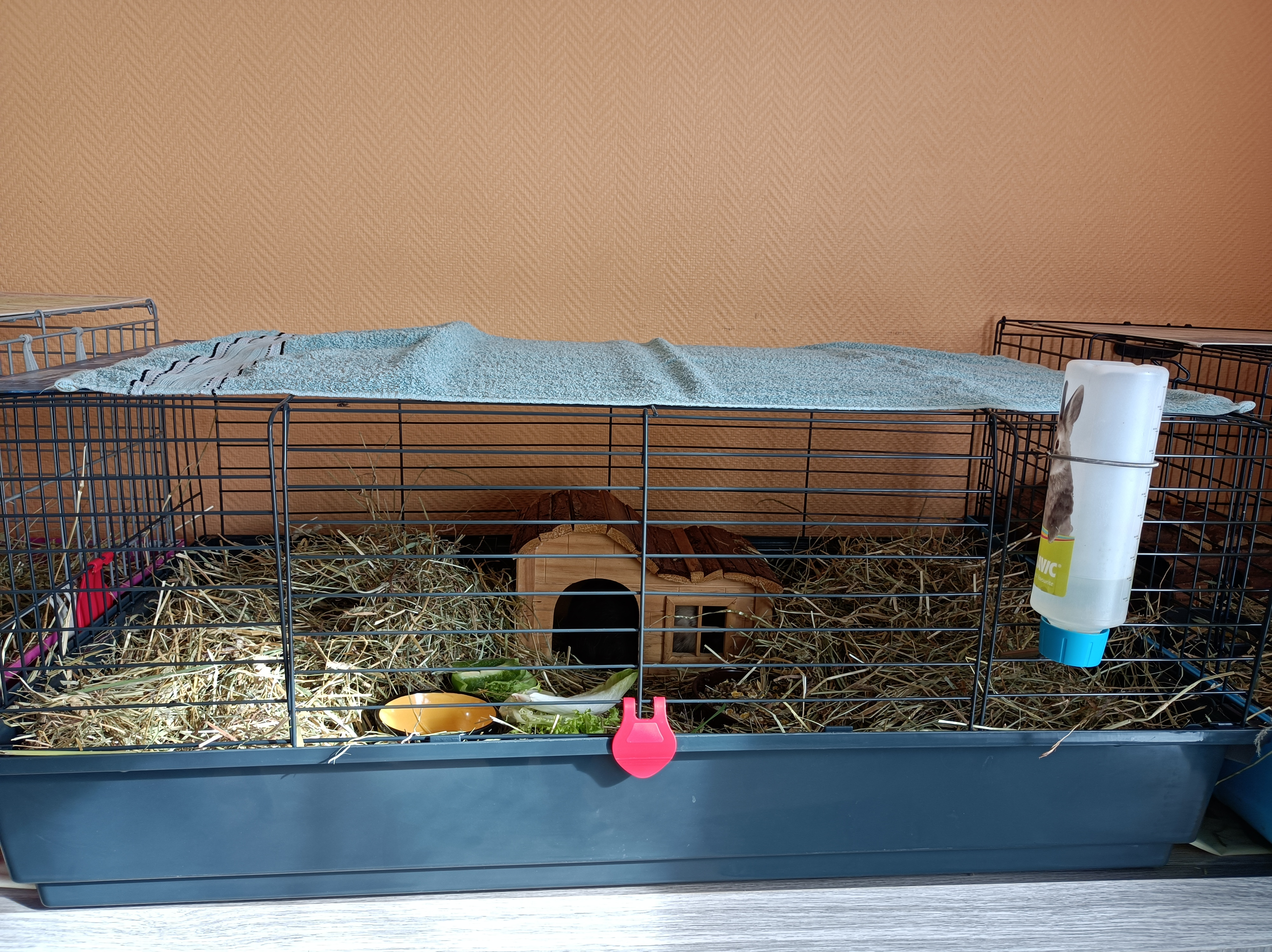 Photo n° 3 de l'avis de Daenerys.o fait le 15/10/2021 à 22:52