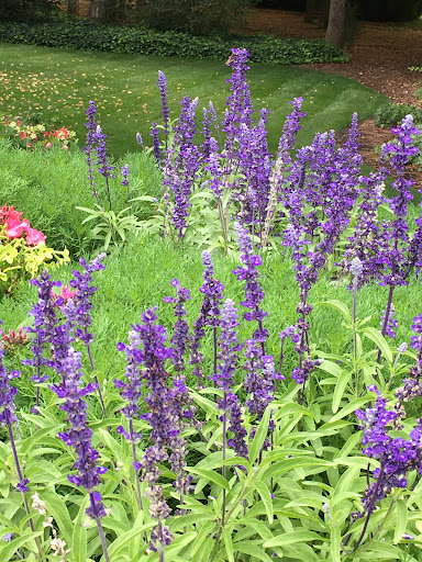 Museum «Museum of Natural Curiosity at Thanksgiving Point», reviews and photos, 3605 Garden Dr, Lehi, UT 84043, USA