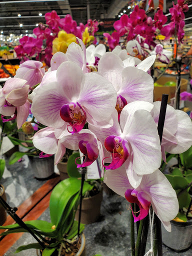 Grocery Store «Rouses Market», reviews and photos, 1345 E Pass Rd, Gulfport, MS 39507, USA