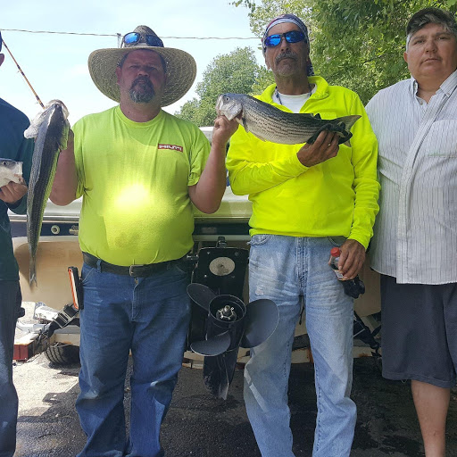 Bait Shop «Elkhorn Outdoor Sports», reviews and photos, 6745 20th St, Rio Linda, CA 95673, USA