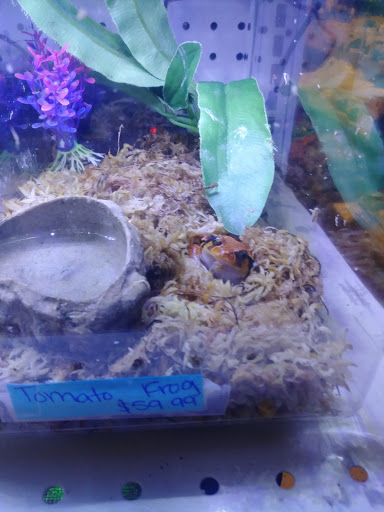 Pet Store «Pet Cove», reviews and photos, 820 E Center St, Kingsport, TN 37660, USA