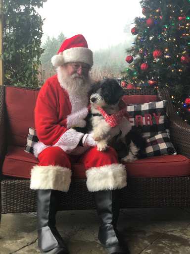 Winery «Ardiri Winery & Vineyards», reviews and photos, 35040 Southwest Unger Road, Cornelius, OR 97113, USA