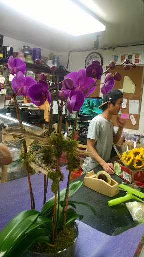 Florist «Super Fresh Flower Market», reviews and photos, 441 Middle Neck Rd, Great Neck, NY 11023, USA