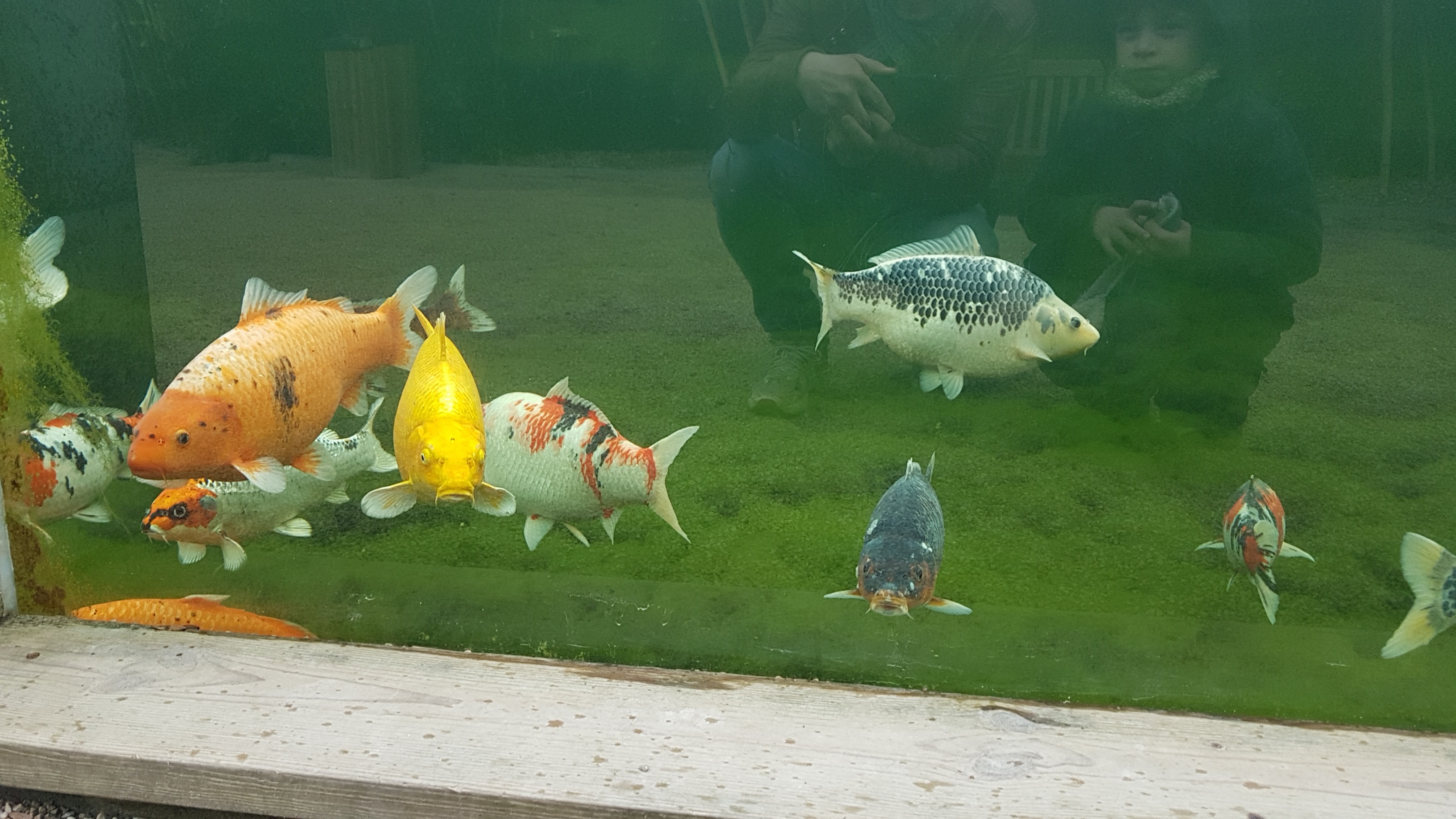 Photo n° 9 de l'avis de PA.A fait le 09/03/2019 à 12:19