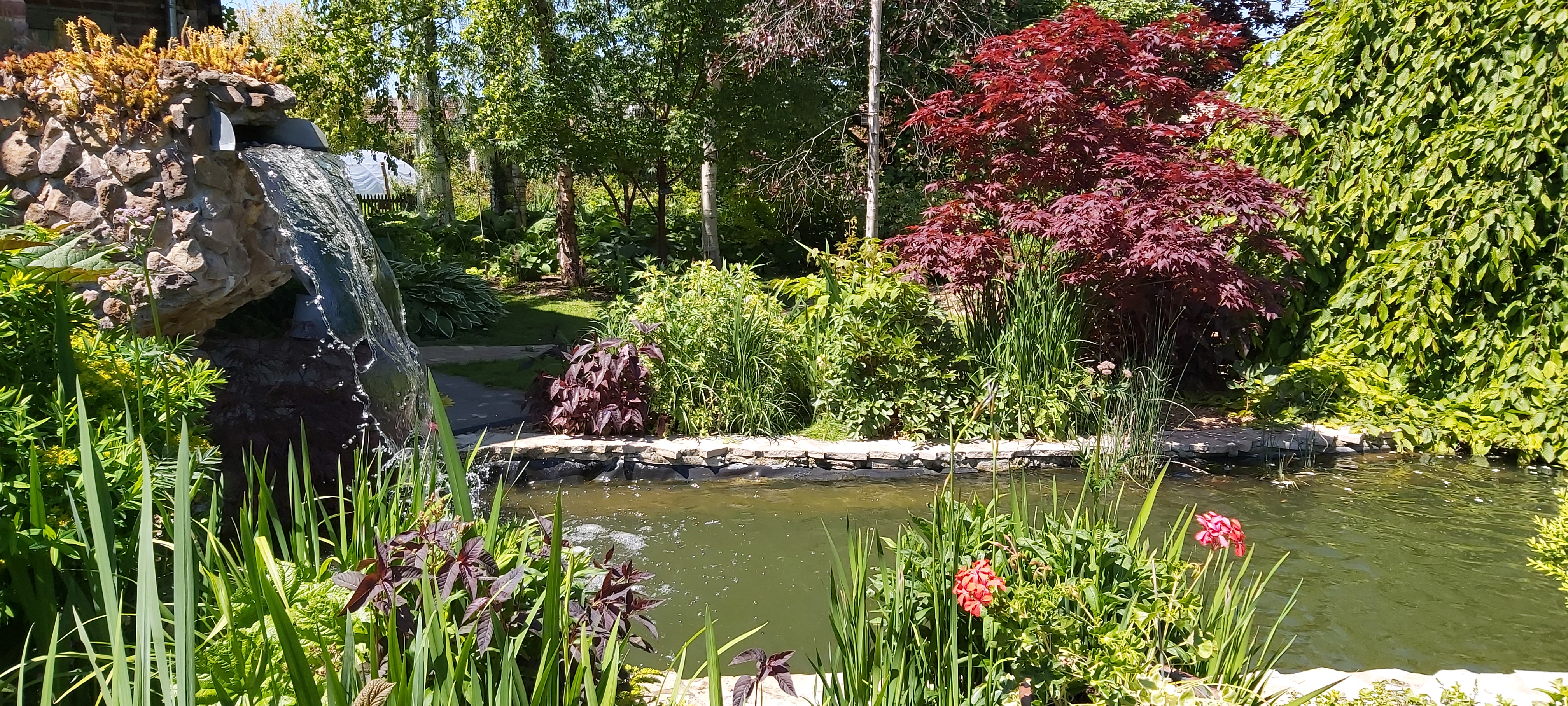 Photo n° 3 de l'avis de Marie-France.o fait le 31/05/2021 à 13:46