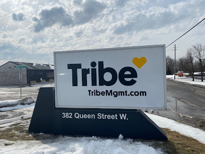 Tribe Management Inc