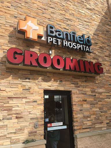 Pet Supply Store «PetSmart», reviews and photos, 4005 Airport Fwy, Irving, TX 75062, USA