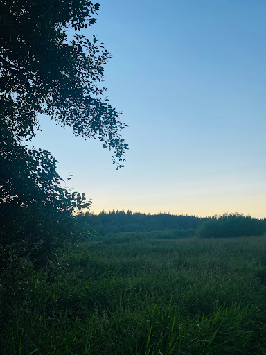 Park «N. Creek Park», reviews and photos, 1011 183rd St SE, Bothell, WA 98012, USA