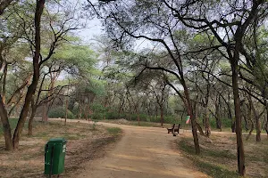 Jungle Trail image