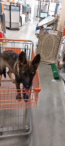 Home Improvement Store «The Home Depot», reviews and photos, 1055 N Colony Rd, Wallingford, CT 06492, USA